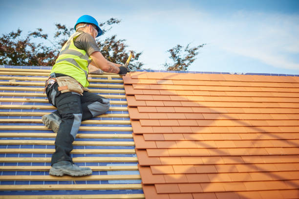 Best Solar Panel Roofing Installation  in Weston, WV